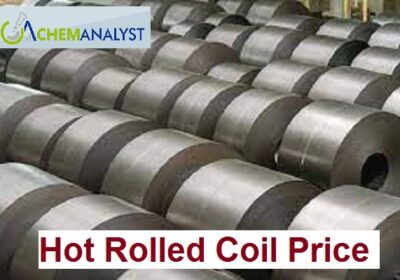 Hot Rolled Coils Price Trend and Forecast