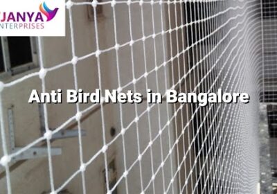 Anti Bird Nets in Bangalore
