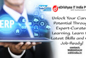 eDrishyaa IT India Pvt. Ltd (SAP Authorized Academy)