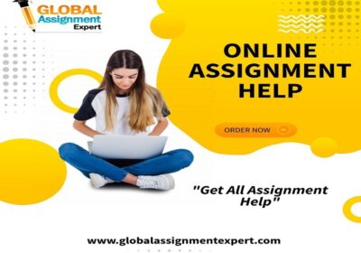 Most Affordable Online Assignment help by top experts