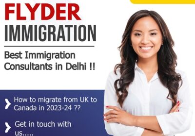 Best Immigration Consultants in Delhi: Expert Guidance for Seamless Migration