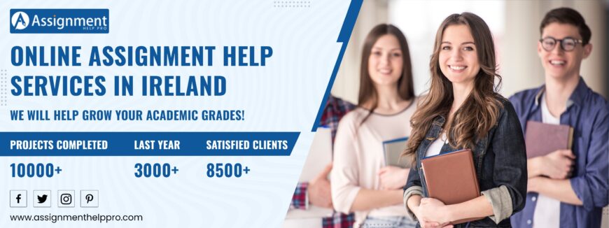 Get Assignment Help Services in Ireland By Experts
