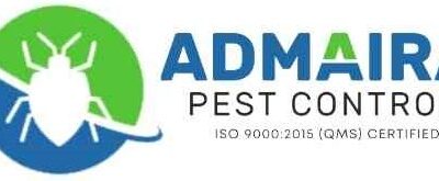 Defending Your Home – The Ultimate Guide to Termite Pest Control in Varanasi