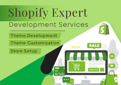 Hire Best Shopify Developer in Delhi India